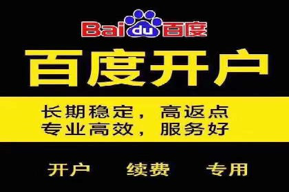 知名SEM公司案例分析：优化策略与成果